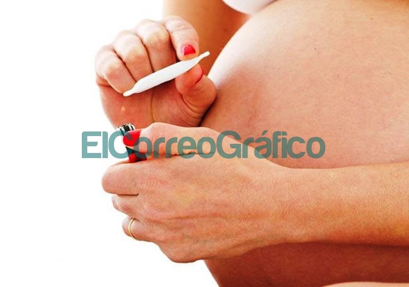 Respaldo a Marihuana Cero en embarazo y lactancia