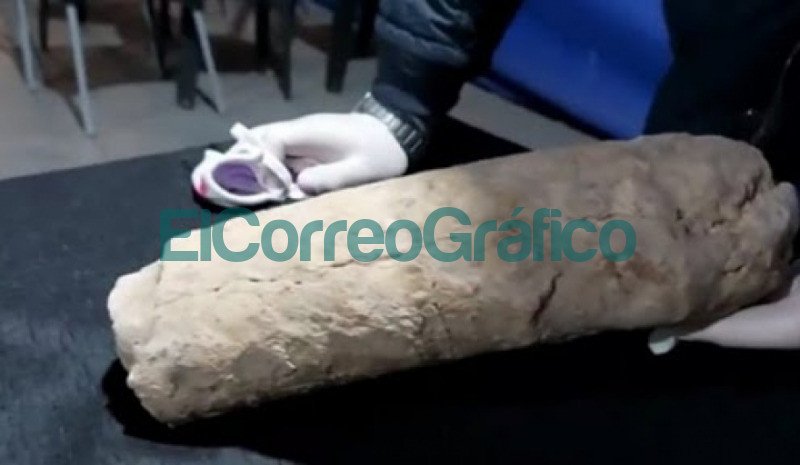 Descubrieron en Pehuajo restos de fosiles que existieron hace millones de anos