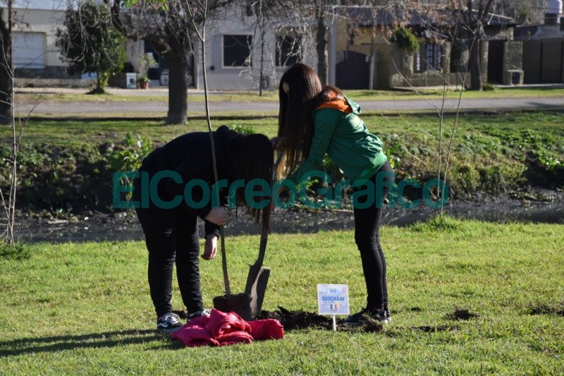 Colectividades realizaron una plantación de árboles por la Paz Las Colectividades realizaron una plantacion de arboles por la Paz 1