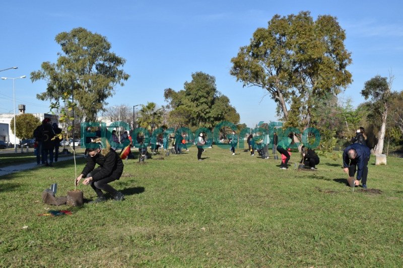 Colectividades realizaron una plantación de árboles por la Paz Las Colectividades realizaron una plantacion de arboles por la Paz 2