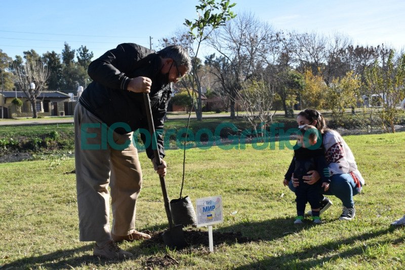 Colectividades realizaron una plantación de árboles por la Paz Las Colectividades realizaron una plantacion de arboles por la Paz 3