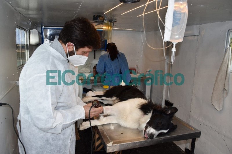 Veterinaria Movil estuvo presente en Los Talas 1