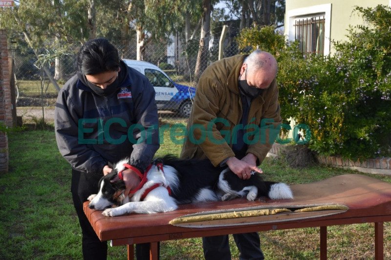 Veterinaria Movil estuvo presente en Los Talas 2