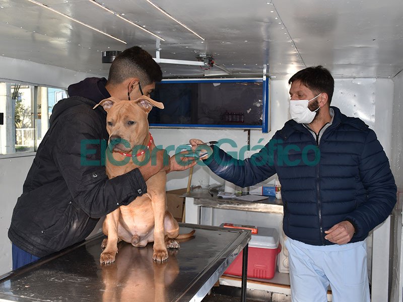 Atención Primaria de Mascotas en el Barrio “Eva Perón” Atencion Primaria de Mascotas en el Barrio Eva Peron 2