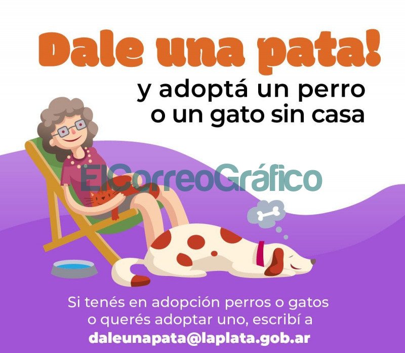 Campaña para promover la adopción responsable de perros y gatos Campana para promover la adopcion responsable de perros y gatos
