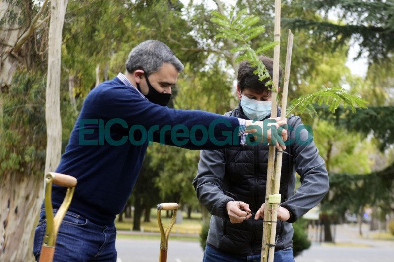 Con la plantacion de 150 arboles reforestan el cordon verde en el Paseo del Bosque 3