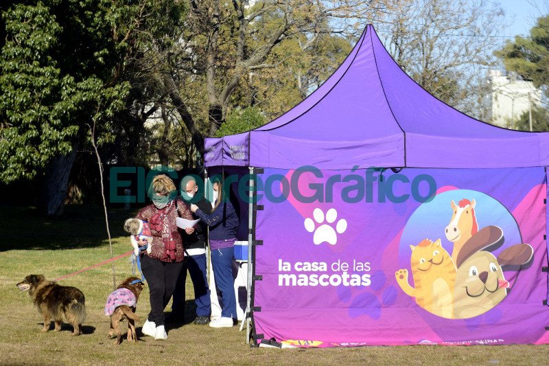 Aplicaran vacunas antirrabicas en la delegacion de Sicardi