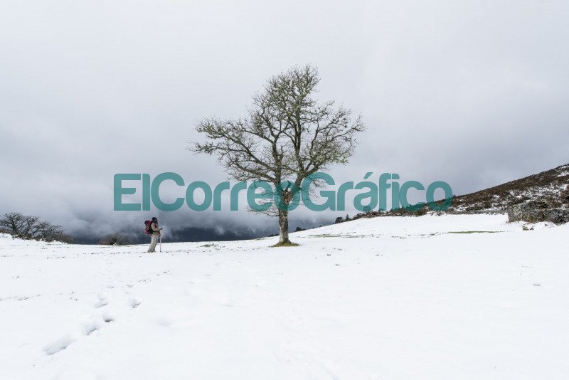 Exponen la serie fotográfica "El camino de Santiago" en el Islas Malvinas Exponen la serie fotografica El camino de Santiago en el Islas Malvinas