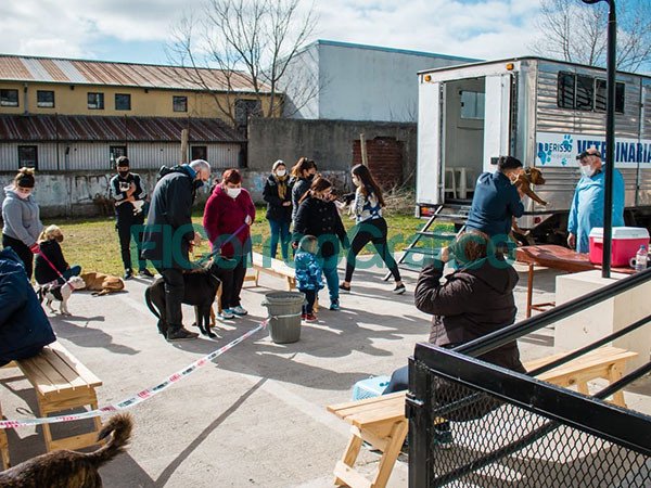 Jornada de Atencion Primaria de Mascotas en El Carmen 1