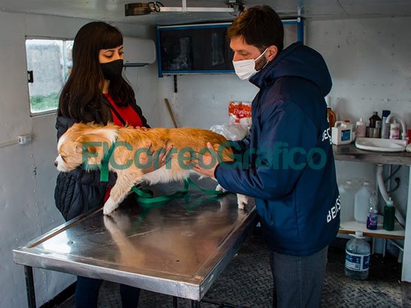 Jornada de Atencion Primaria de Mascotas en El Carmen 2
