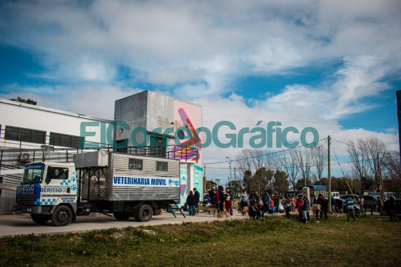 Jornada de Atencion Primaria de Mascotas en El Carmen 4