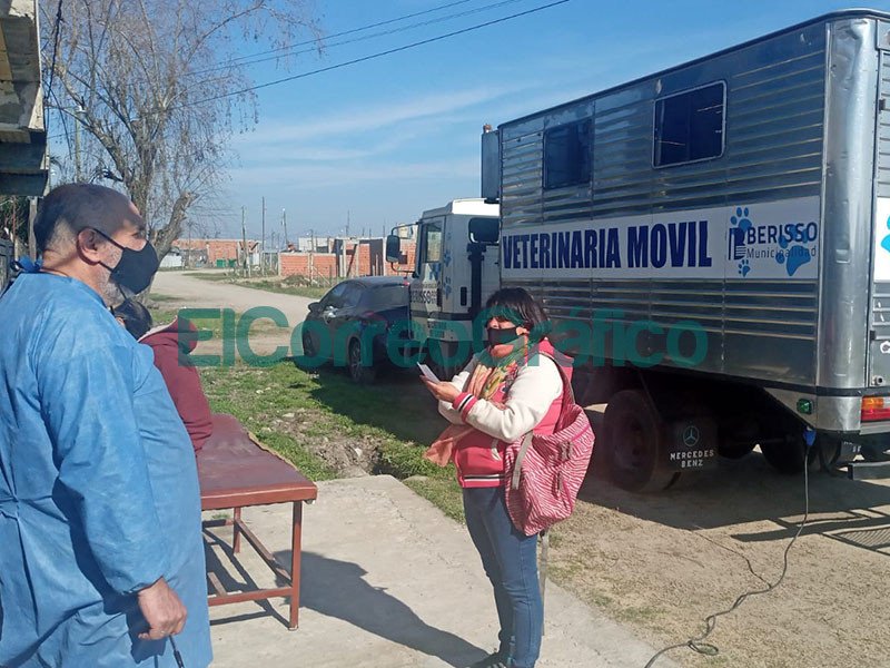 Se realizo castraciones de perros y gatos en el Santa Teresita 1