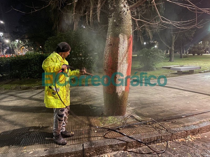 Tras los incidentes el Municipio encaro junto a los clubes la reparacion del Paseo del Bosque 1 1