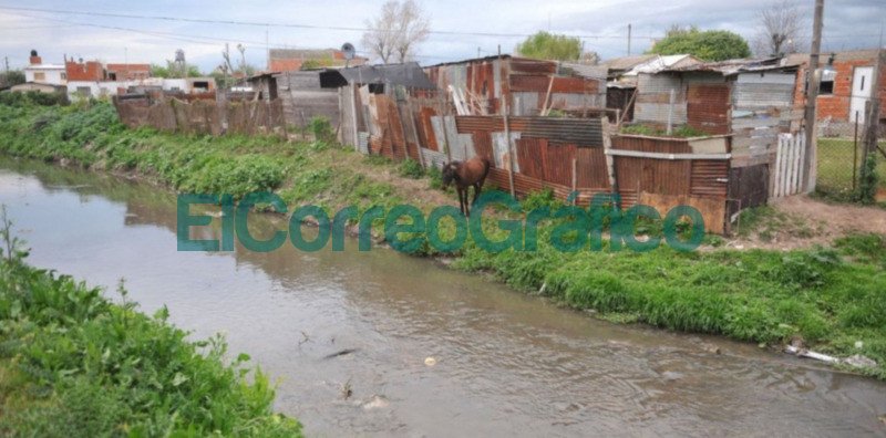 arroyo Maldonado