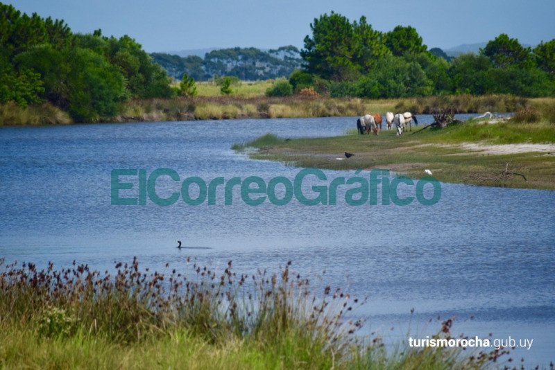 4 destinos recomendados para visitar en Uruguay Barra de Chuy Rocha Uruguay