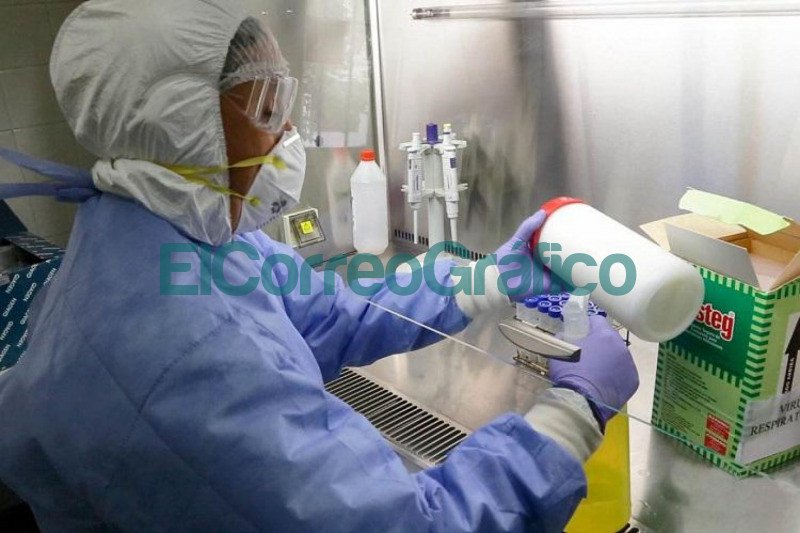 Bioquimicos