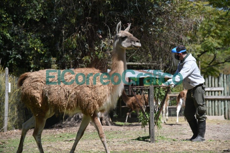 Capacitan a personal del Bioparque sobre preservacion y comportamiento de especies en cautiverio