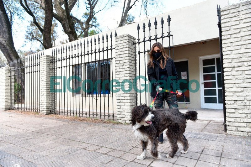 En La Plata se vacuno a mas de 13 mil animales contra la Rabia en lo que va del ano 2