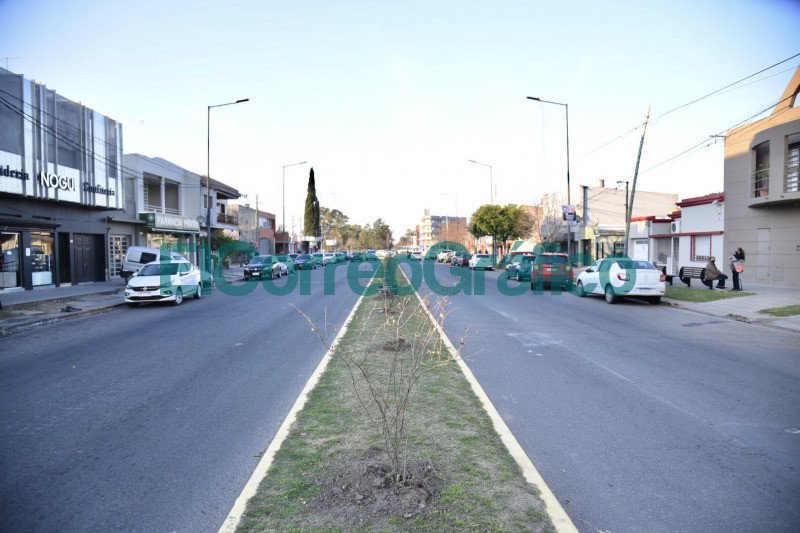 Forestación y mejoras urbanas para potenciar el centro comercial de San Carlos Forestacion y mejoras urbanas para potenciar el centro comercial de San Carlos 2