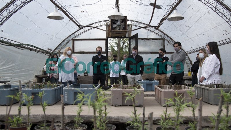 Nativas Bonaerenses OPDS y CEPROVE avanzan con la micropropagacion 2