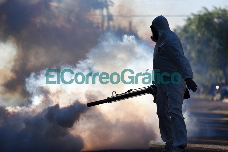 Prevención contra el Dengue en barrios platenses Prevencion contra el Dengue en barrios platenses 1