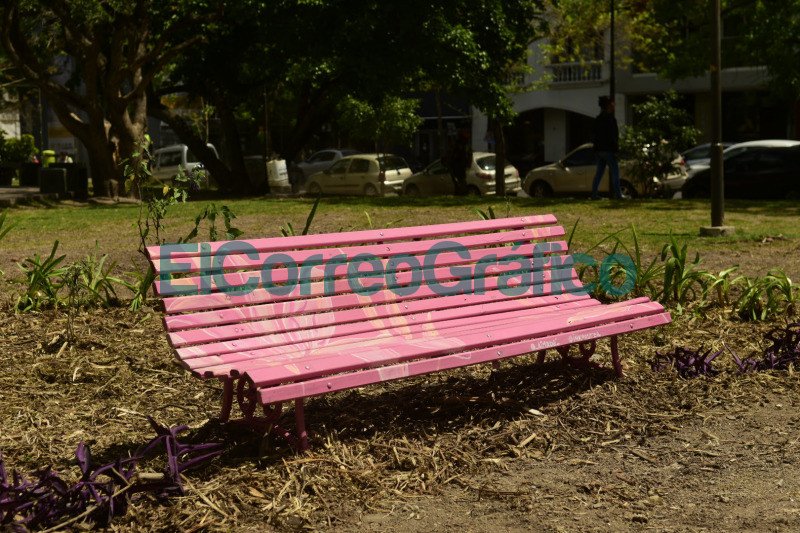 Bancos de color rosa en plazas para concientizar sobre la lucha contra el Cáncer de Mama Bancos de color rosa en plazas para concientizar sobre la lucha contra el Cancer de Mama 1