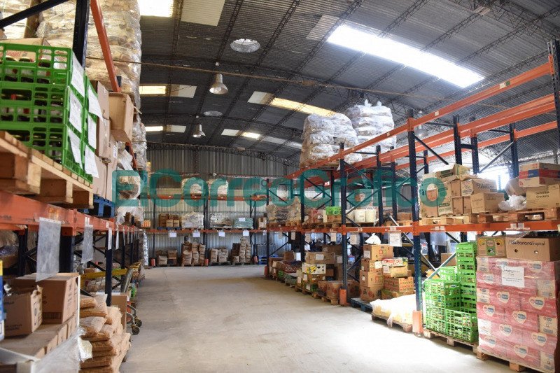 La Plata y el Banco Alimentario trabajarán juntos La Plata y el Banco Alimentario trabajaran juntos 4