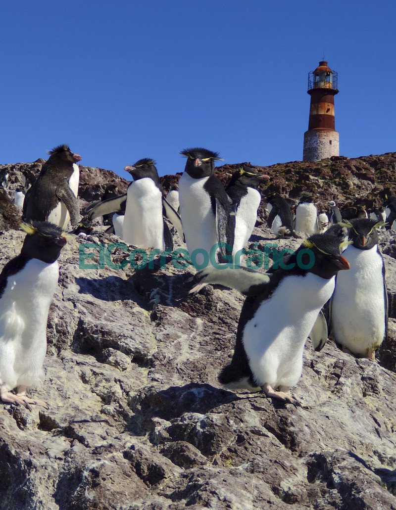 Isla Pinguino 01