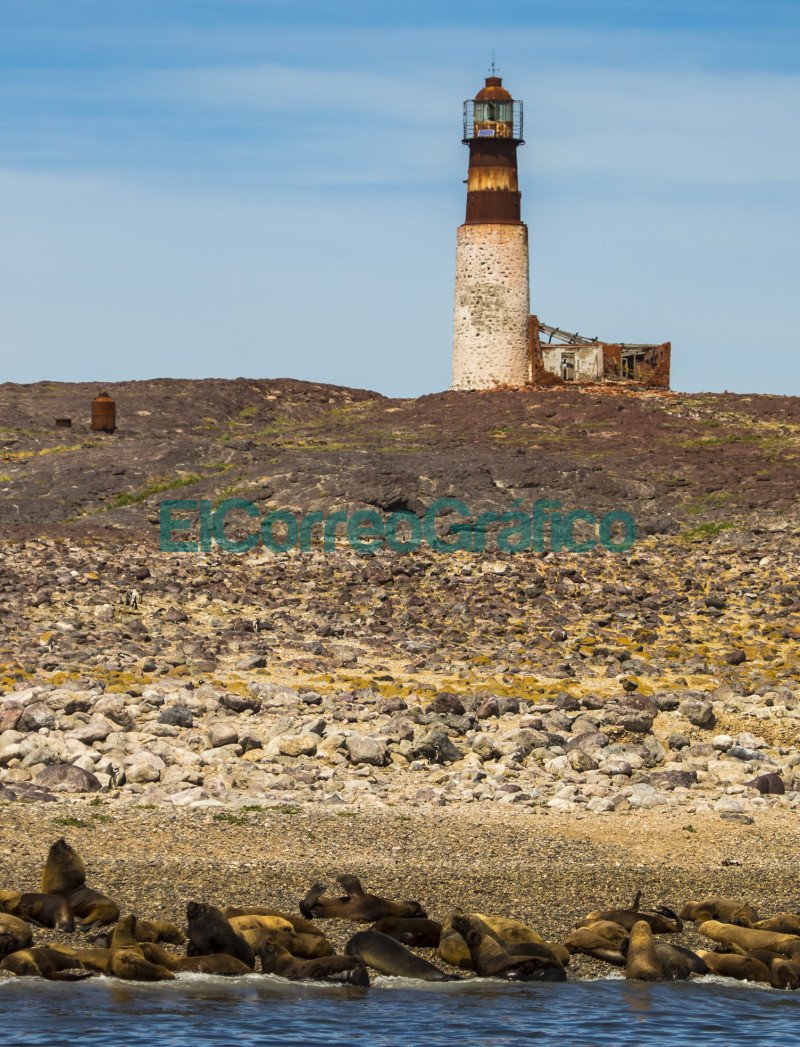 Isla Pinguino 02
