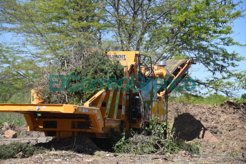 La Plata adquirió máquina chipeadora que transforma los restos de poda en abono orgánico La Plata adquirio maquina chipeadora que transforma los restos de poda en abono organico 2