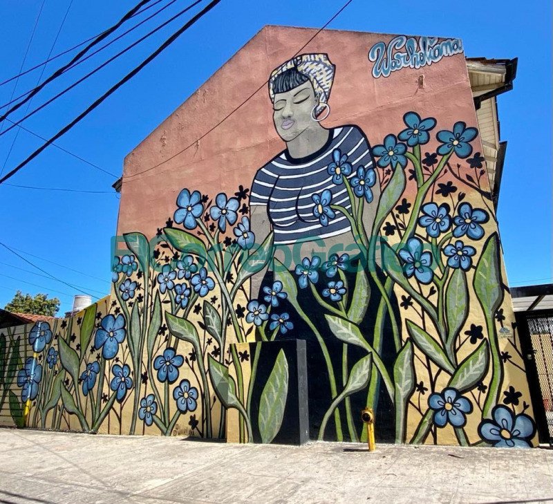 Primer Museo de Arte Urbano a Cielo Abierto 5