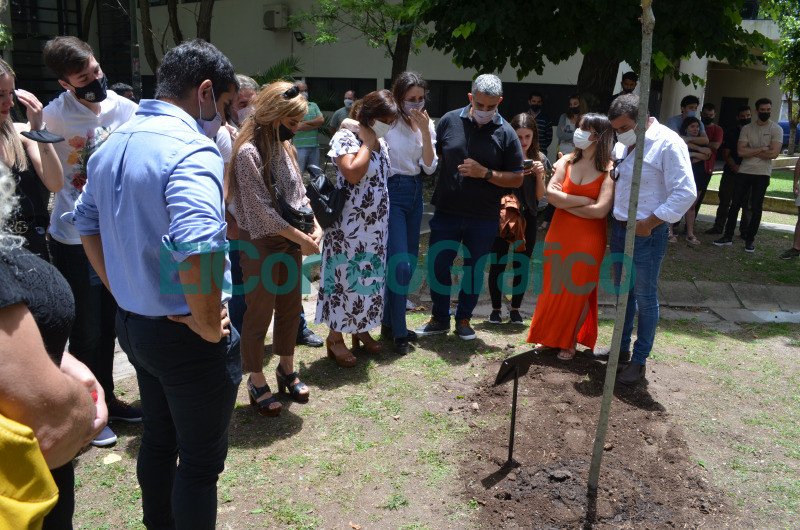 6. Un arbol en memoria del estudiante.