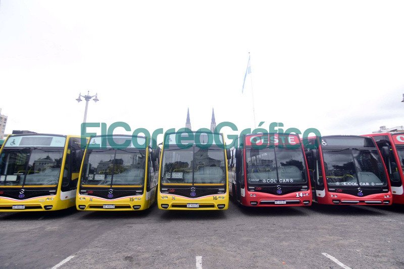 La Plata sumo nuevos colectivos inclusivos y sustentables 3