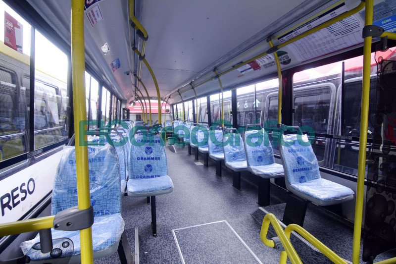 La Plata sumo nuevos colectivos inclusivos y sustentables 4