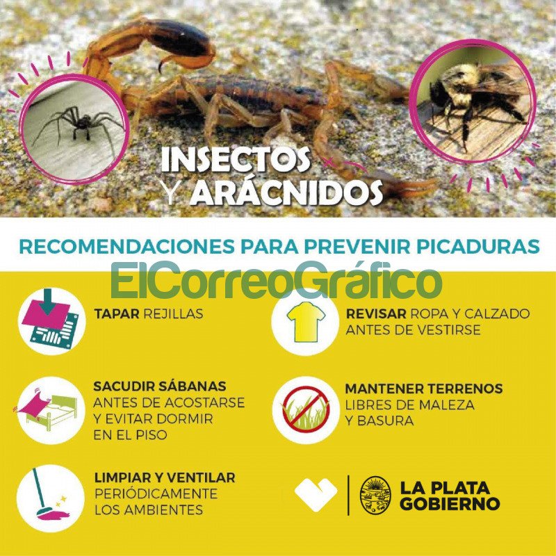Recomendaciones para prevenir picaduras de alacranes y escorpiones