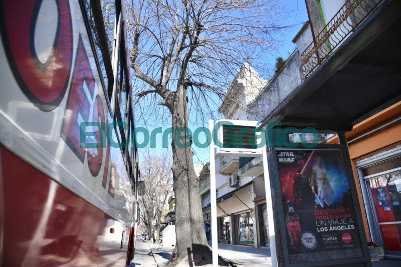 Modifican las paradas de micros sobre Avenida 1 de la Estacion del Roca