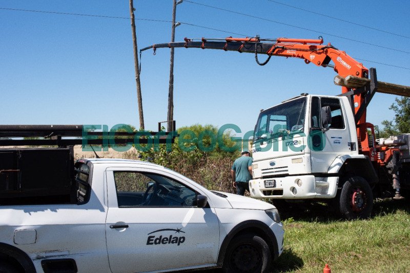 Edelap cambio las palmeras de la red electrica de La Balandra 1