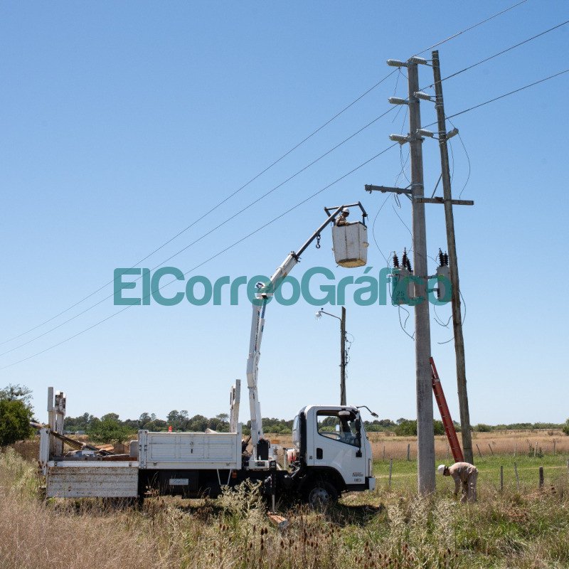 Edelap cambio las palmeras de la red electrica de La Balandra 2