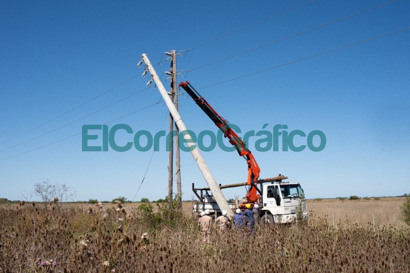 Edelap cambió las palmeras de la red eléctrica de La Balandra Edelap cambio las palmeras de la red electrica de La Balandra 3
