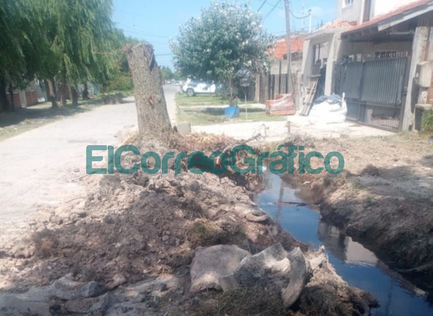 Municipales dejaron sin agua todo un barrio tras sacar un árbol Municipales dejaron sin agua todo un barrio tras sacar un arbol 1