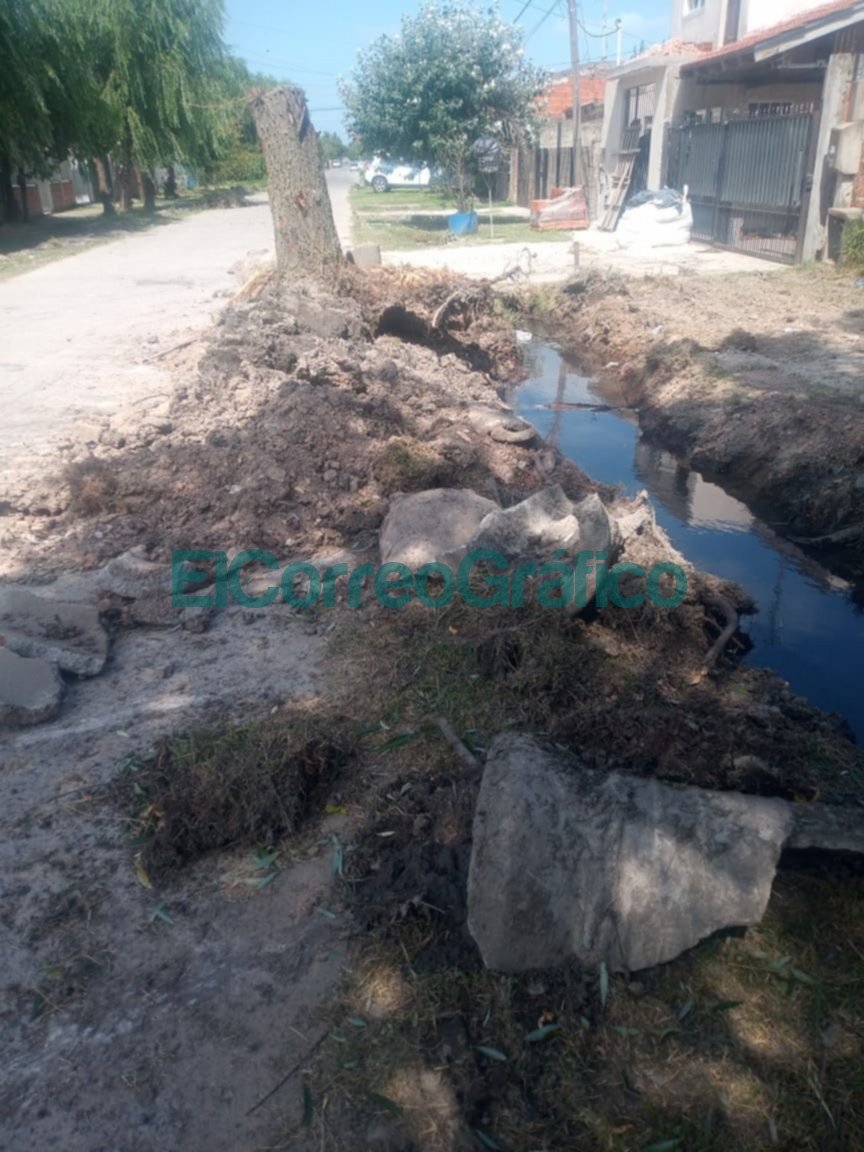 Municipales dejaron sin agua todo un barrio tras sacar un árbol Municipales dejaron sin agua todo un barrio tras sacar un arbol 2