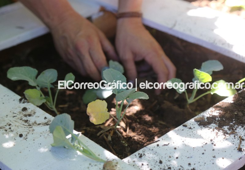 Casa Ecológica suma nuevos talleres de alimentación saludable, huerta orgánica y compostaje Casa Ecologica suma nuevos talleres de alimentacion saludable huerta organica y compostaje