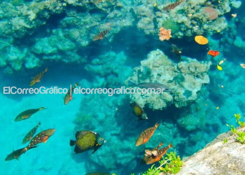 Parque Chankanaab Cozumel 4
