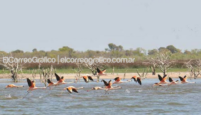 Reserva de Mar Chiquita