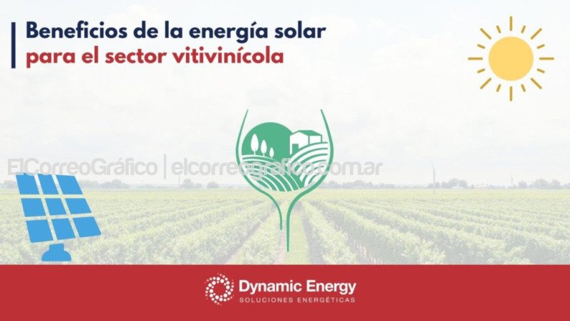 Beneficios de la energía solar para el sector vitivinícola Beneficios de la energia solar para el sector vitivinicola