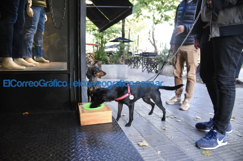 Bebederos para mascotas en paseos comerciales de La Plata 1