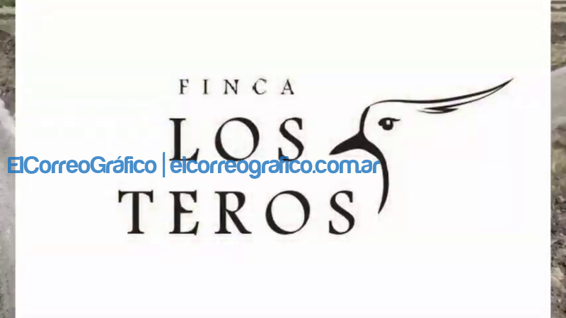 Denunciaron a un emprendimiento inmobiliario en Los Talas 2