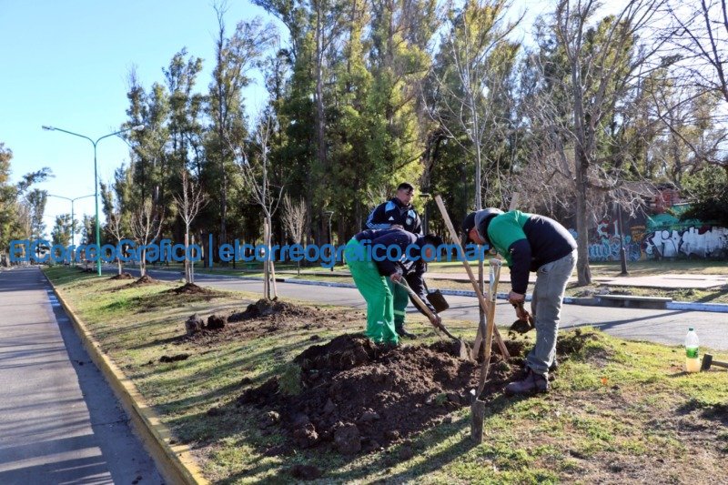 Oxbow Argentina -Planta Copetro- donó 500 árboles a la Municipalidad de Ensenada Oxbow Argentina Planta Copetro dono 500 arboles a la Municipalidad de Ensenada 2