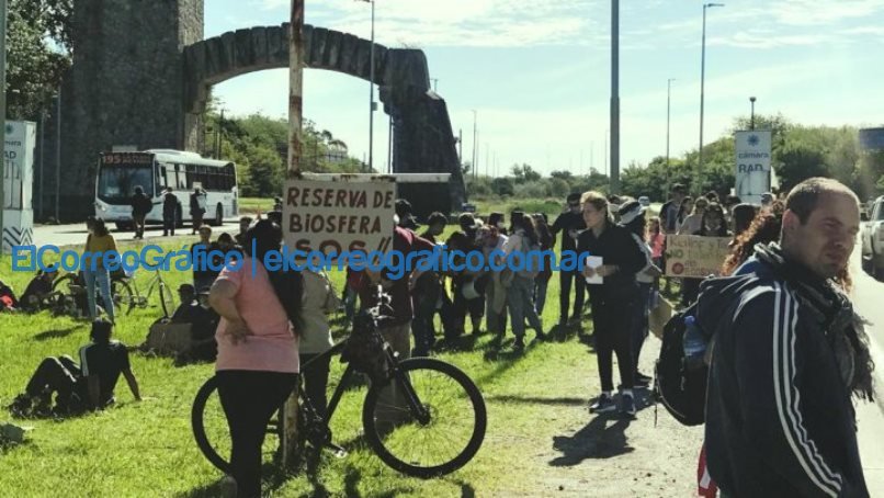 Judicializaron a la Provincia y la UNLP por el intento de tala de la Reserva Biósfera Judicializaron a la Provincia y la UNLP por el intento de tala de la Reserva Biosfera