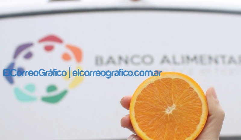 Recolectaran naranjas en centro de La Plata para donar mermeladas a comedores sociales